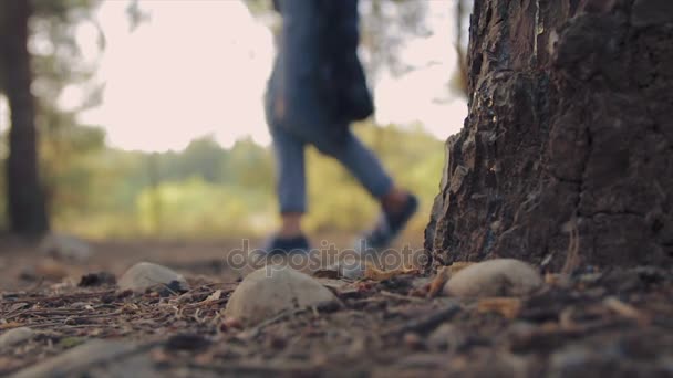 Menina dançando na floresta — Vídeo de Stock