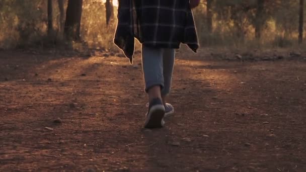 Vista posterior de la niña caminando en el bosque hacia el atardecer — Vídeo de stock