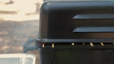 Domates ve soğan yemek sıcak ızgara tavuk Kalpler