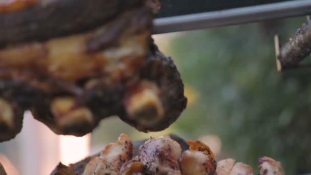 Beef meat on a skewer cooking in the barbecue grill — Stock Video