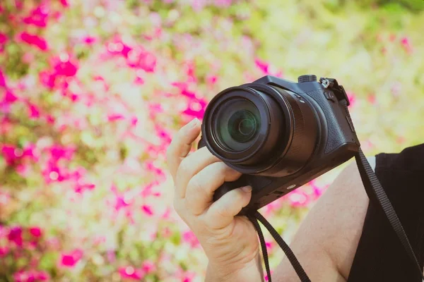 Cámara en manos de mujeres fotógrafas al aire libre —  Fotos de Stock