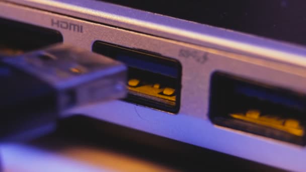 Close-up van de USB-flashdrive in de poort aan de zijkant van een laptop. — Stockvideo