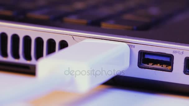 Nahaufnahme eines hdmi-Kabelsteckers, der in den Port an der Seite eines Laptops gesteckt wird. — Stockvideo
