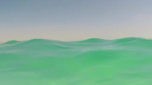 Underwater Split Shot View Showing Water Level Dead Sea Israel — Stock Video