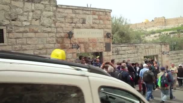 Kudüs Srail Mart 2019 Hristiyan Turistler Kudüs Gethsemane Bahçesi Nin — Stok video