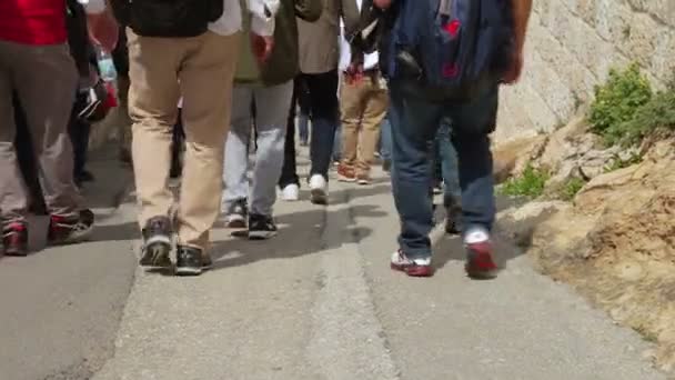 一群游客在耶路撒冷古城散步 从后面看 — 图库视频影像