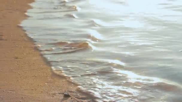 地中海の波がエキゾチックな夕日で砂浜を転がします イスラエルのテルアビブで黄金の日の出の足跡を洗い流す穏やかな泡の水の終わり — ストック動画