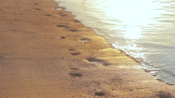 Insouciante Fille Méconnaissable Court Dans Les Vagues Eau Peu Profondes — Video