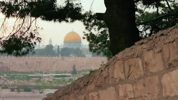 在色彩绚丽的日落中 耶路撒冷古城和阿克萨清真寺通过一棵树的照片 一辆公共汽车在路上兜圈行驶 从以色列耶路撒冷橄榄山看问题 — 图库视频影像