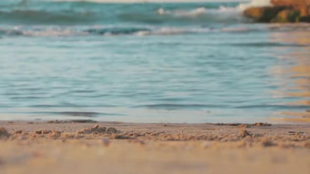 地中海の波のシネマグラフは エキゾチックな夕日で砂浜を転がします 低い角度 閉じる テルアビブの黄金の日の出で穏やかな景色のフロントビュー イスラエル — ストック動画