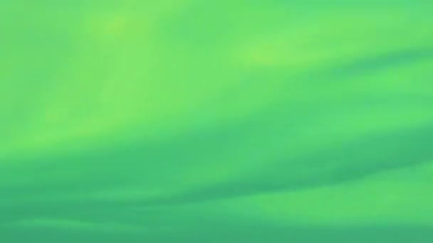 Кинематограф Подводного Раздельного Снимка Показывающий Выше Ниже Уровня Воды Мертвого — стоковое видео