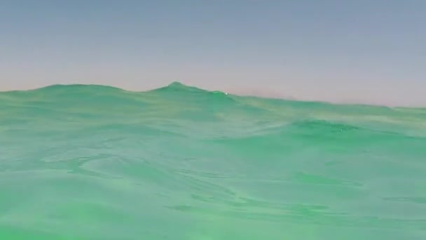 Cinemagraph Underwater Split Shot View Che Mostra Sopra Sotto Livello — Video Stock