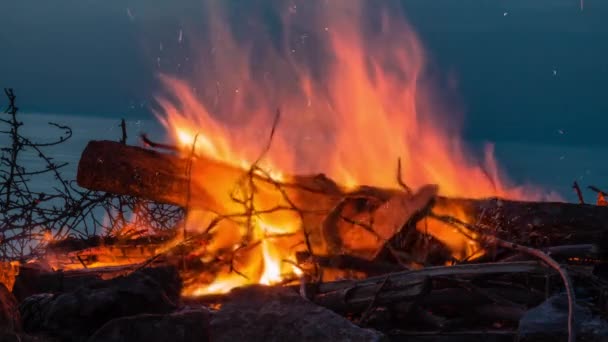 Egy Tábortűz Mozijában Alkonyatkor Parton Közelíts Tűzre Szikrákkal Hőhullámokkal — Stock videók