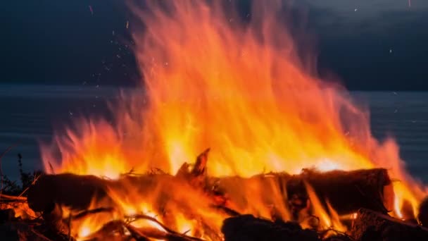 ビーチでの夕暮れ時のキャンプファイヤーのシネマグラフ 火花と熱波で火の上に閉じます — ストック動画