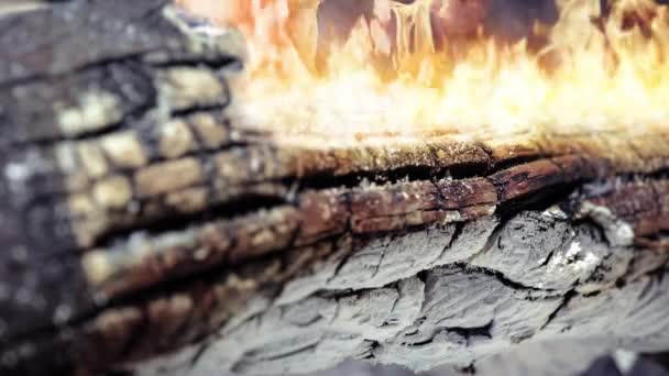 Kinemagraf Płonącego Ognia Spalonym Pniu Zamknij Pętla Selektywnym Ukierunkowaniem — Wideo stockowe
