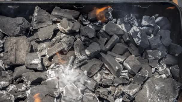 バーベキューグリルで焼かれた石炭の煙のシネマグラフ 上のビューを閉じ 選択的フォーカスを持つループ — ストック動画