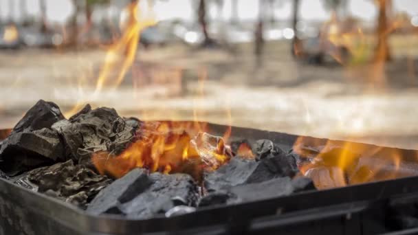 バーベキューグリルで燃焼石炭の燃焼火災のシネマグラフ 閉じます 選択的焦点でループ — ストック動画