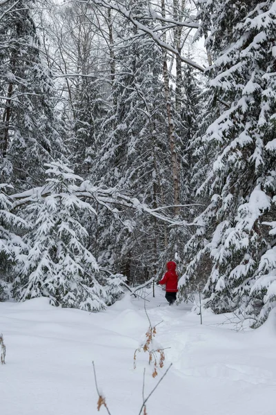 Маленькая девочка в красной куртке в снежном лесу — стоковое фото