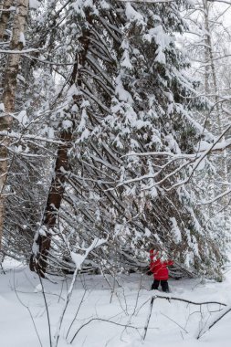 kırmızı ceket karlı ormandaki küçük kız