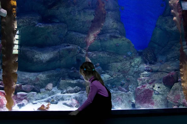 Маленька дівчинка дивиться на рибу в акваріумі — стокове фото