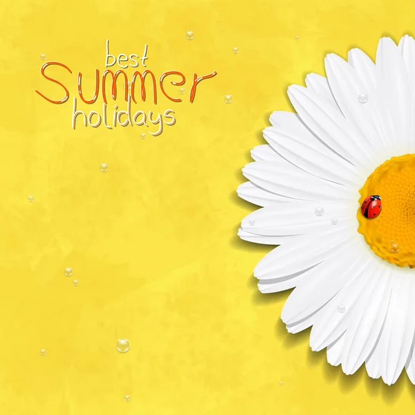 Μαργαρίτα λουλούδι το καλοκαίρι. Χαμομήλι. Καλύτερες καλοκαιρινές σας διακοπές — Διανυσματικό Αρχείο
