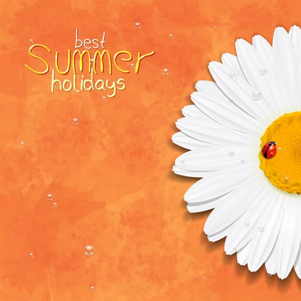 Μαργαρίτα λουλούδι. Χαμομήλι. Καλύτερες καλοκαιρινές σας διακοπές — Διανυσματικό Αρχείο