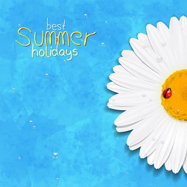 黛西夏天花。洋甘菊。最好的夏天假期 — 图库矢量图片