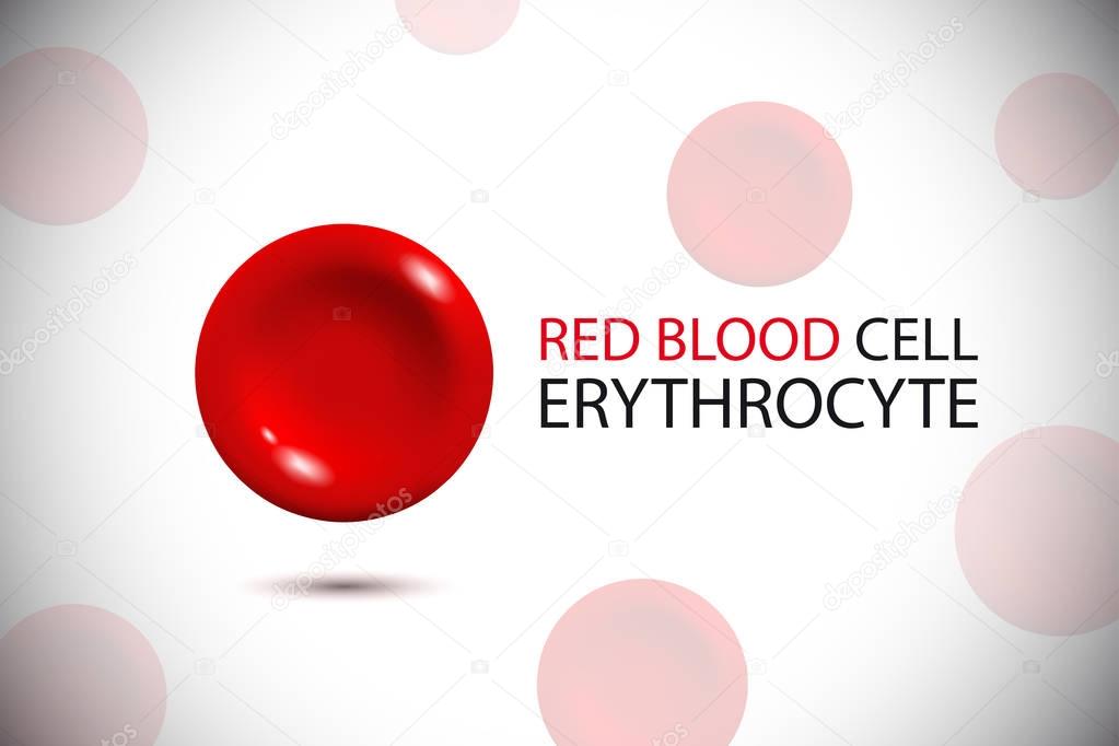 Erythrocyte. Red blood cell logo. Vector Illustration