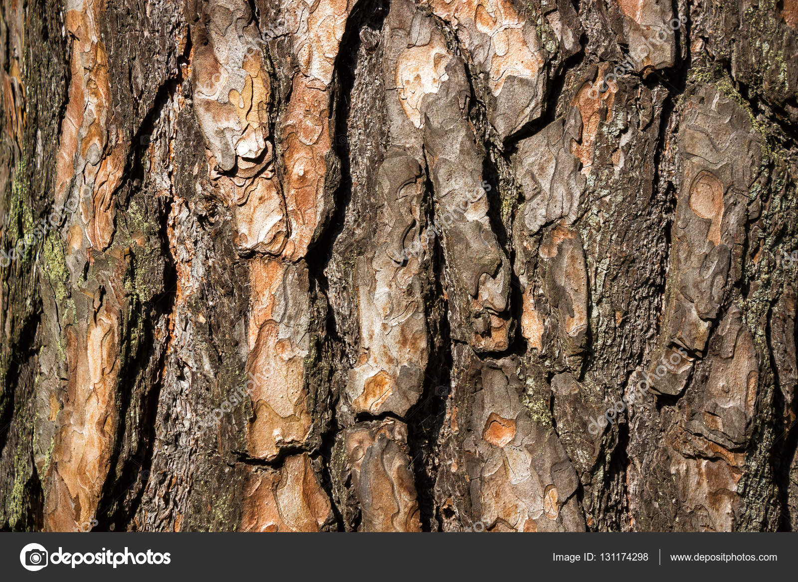 Gerelateerde afbeelding