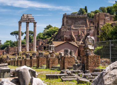 Pitoresk kalıntıları Roma Forumu Roma, İtalya