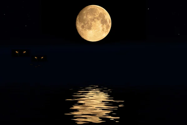 Luna y sombras y ojos de tigres —  Fotos de Stock