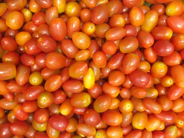 Закрыть мини-помидор — стоковое фото