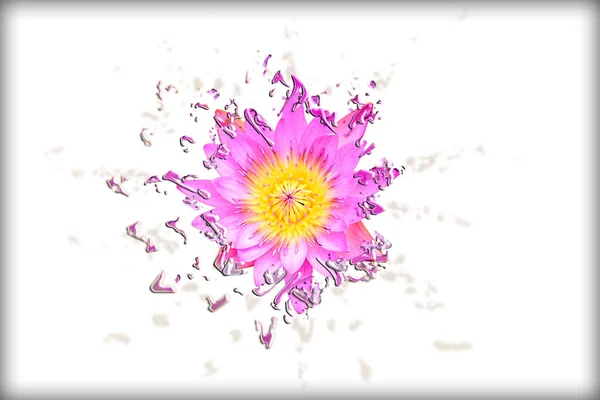 Soyut Sıvılaştır pembe lotus