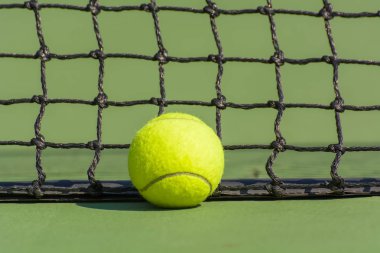 Yeşil tenis topu