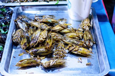 Böcekler ve solucanlar kızarmış besindir