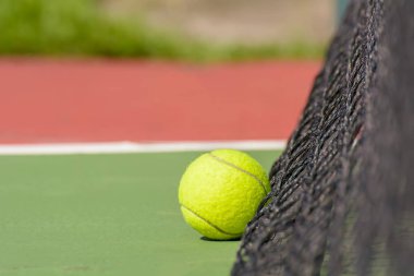 Yeşil tenis topu