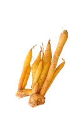 Galingale veya Boesenbergia rotunda veya parmak kök veya Çince ging