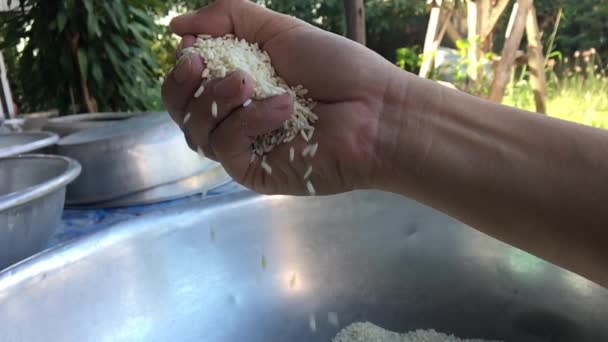 Slow motion sprinkling rice. No Sound. — Stock Video