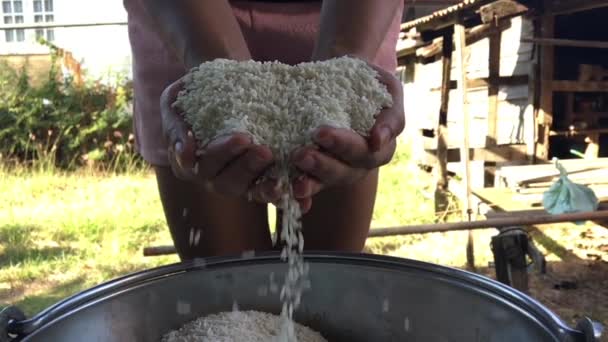 Rociar arroz en cámara lenta. Sin sonido . — Vídeo de stock