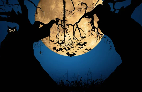 A Noite de Halloween — Fotografia de Stock