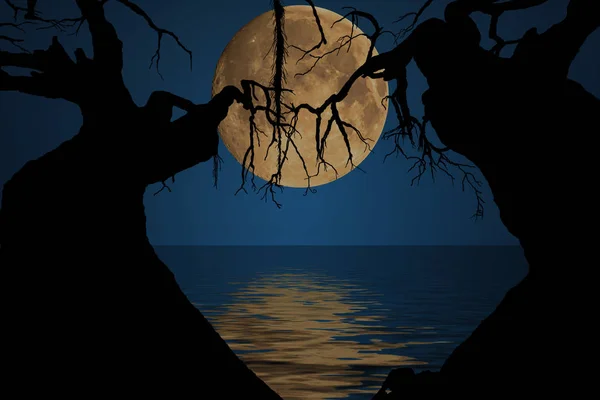 Ay ve gölgeler — Stok fotoğraf