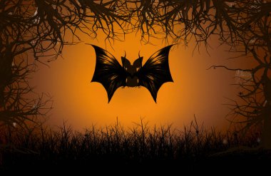 Halloween gece arka plan