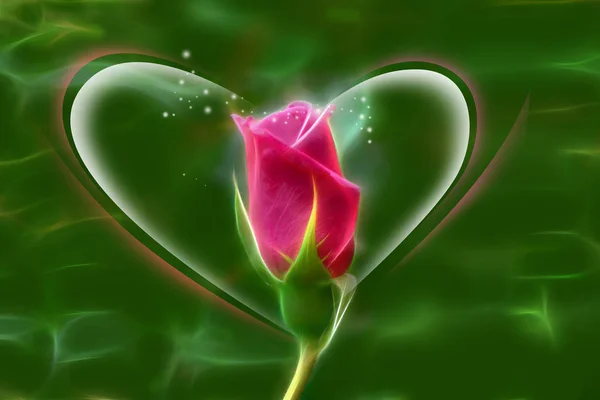 Roses on Valentine's Day — Stock Photo, Image