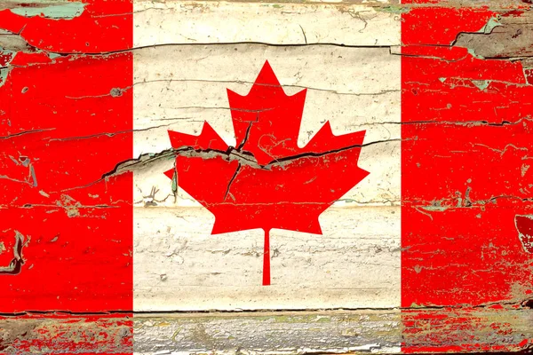 3D zászló Kanada, fa — Stock Fotó