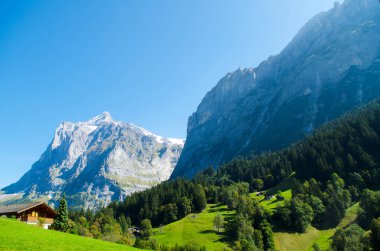 Grindelwald manzara, İsviçre