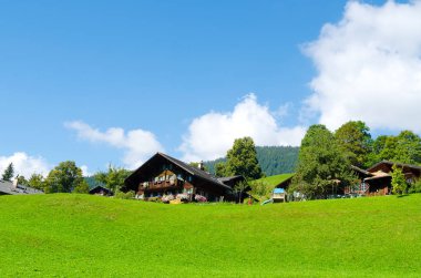 Grindelwald manzara, İsviçre