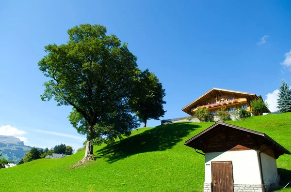 Grindelwald landskap, Schweiz — Stockfoto