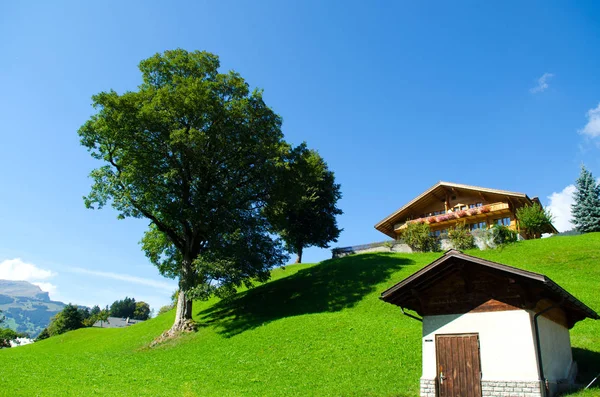 スイス、グリンデルヴァルト風景 ストック画像