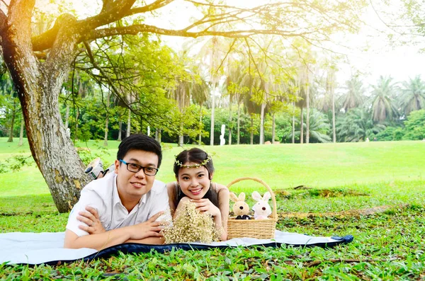 Pasangan Muda Asia Saat Piknik Stok Foto