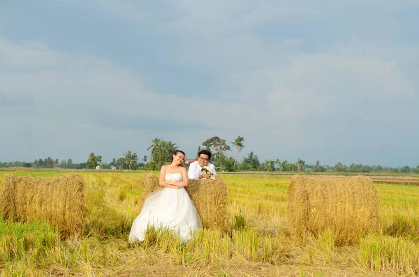 Asiatisches Brautpaar Liegt Auf Strohrolle Auf Reisfeld lizenzfreie Stockbilder